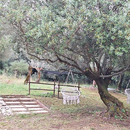 Вилла Moradia Rural De Charme Agradavel E Acolhedora Arrimal Экстерьер фото