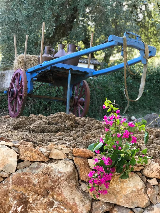 Вилла Moradia Rural De Charme Agradavel E Acolhedora Arrimal Экстерьер фото