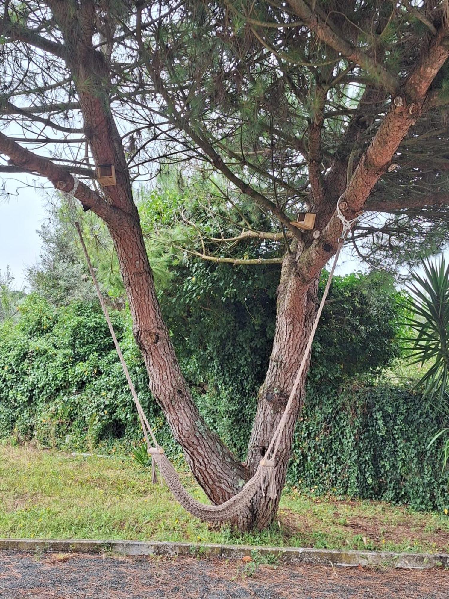 Вилла Moradia Rural De Charme Agradavel E Acolhedora Arrimal Экстерьер фото